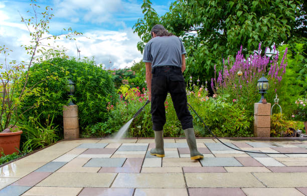 Best Parking Lot and Garage Cleaning  in Piggott, AR